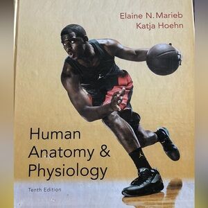 Human Anatomy and Physiology